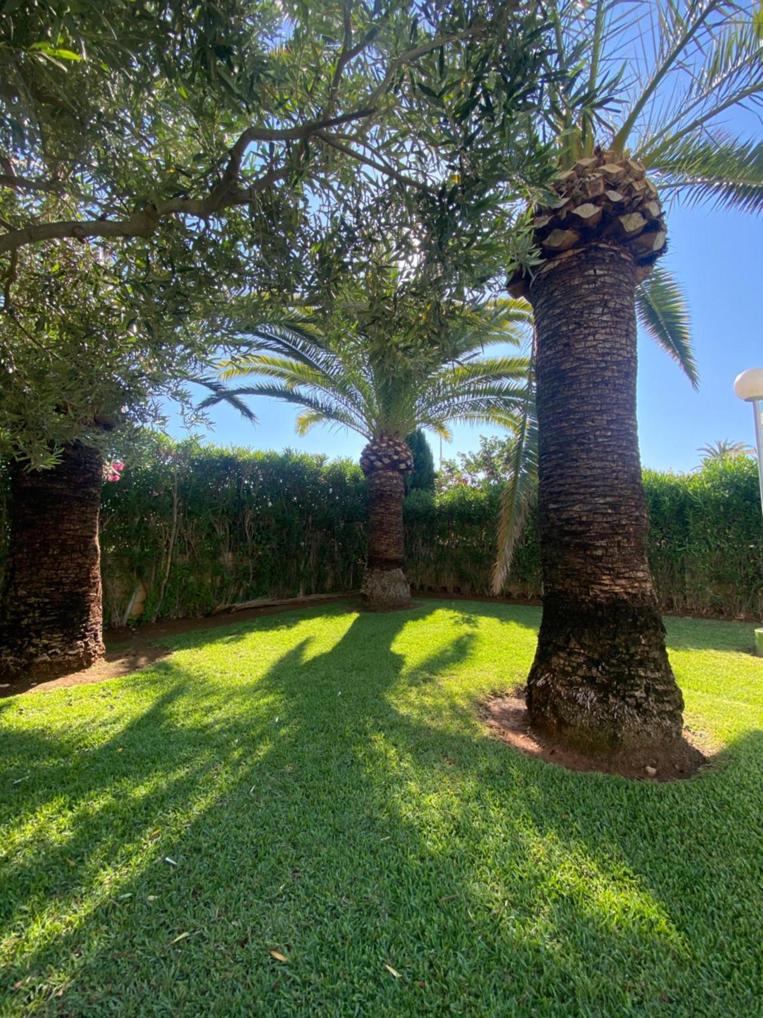 Sea Views Apartments Denia Luaran gambar